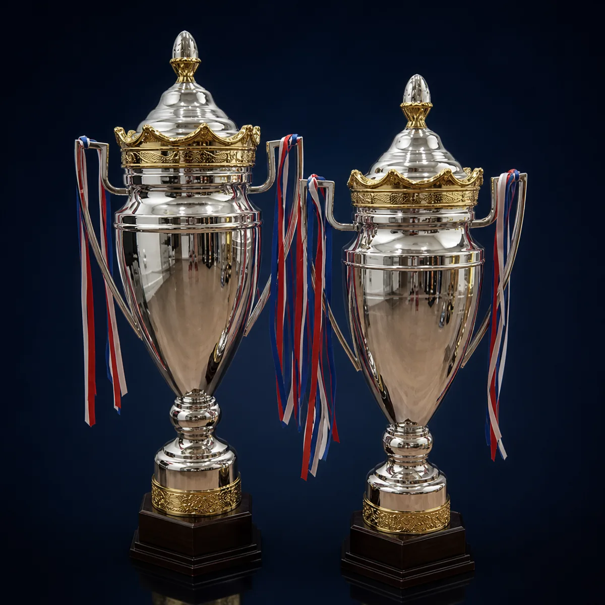 Copa Presidencial Plateada con Tapa